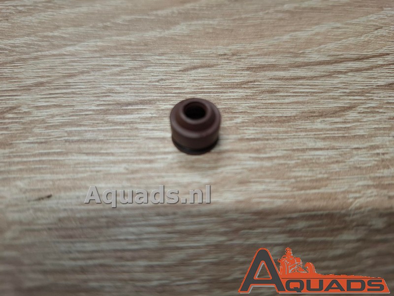 Seal ring set valva stem CF500